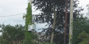 image7